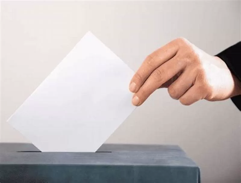 Colegio Palmares: Local De Votación